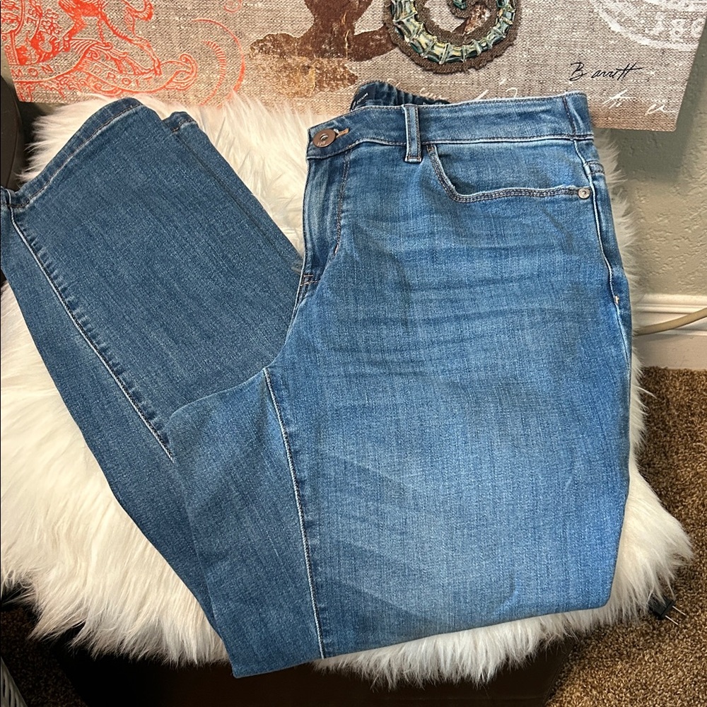 J. Jill Blue Straight Leg Women's Jeans